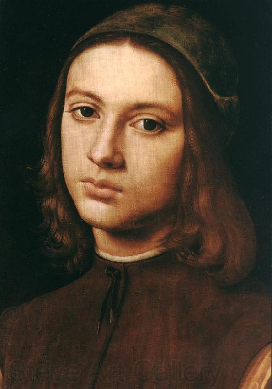 PERUGINO, Pietro Portrait of a Young Man (detail) af France oil painting art